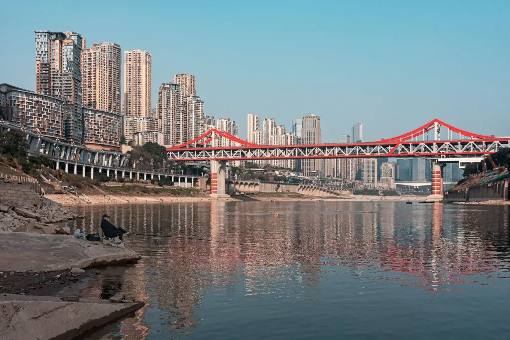 上海广告制作市场喷绘写真与展架需求趋势观察